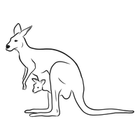 Download Kangaroo Free PNG photo images and clipart | FreePNGImg