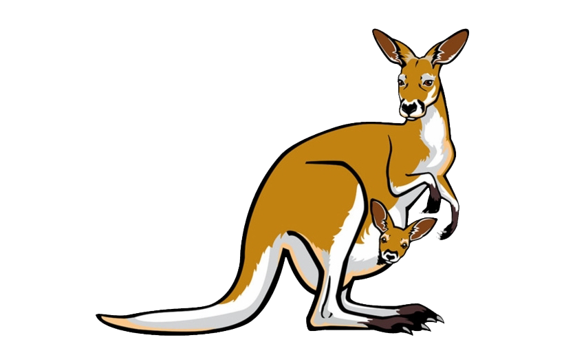 Kangaroo Joey Free HD Image PNG Image