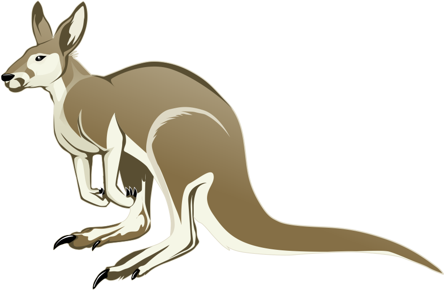 Kangaroo Vector Free Download PNG HQ PNG Image