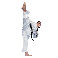Fighter Pic Karate Black Male Belt PNG