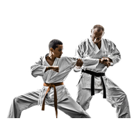 Download Karate Free PNG photo images and clipart | FreePNGimg