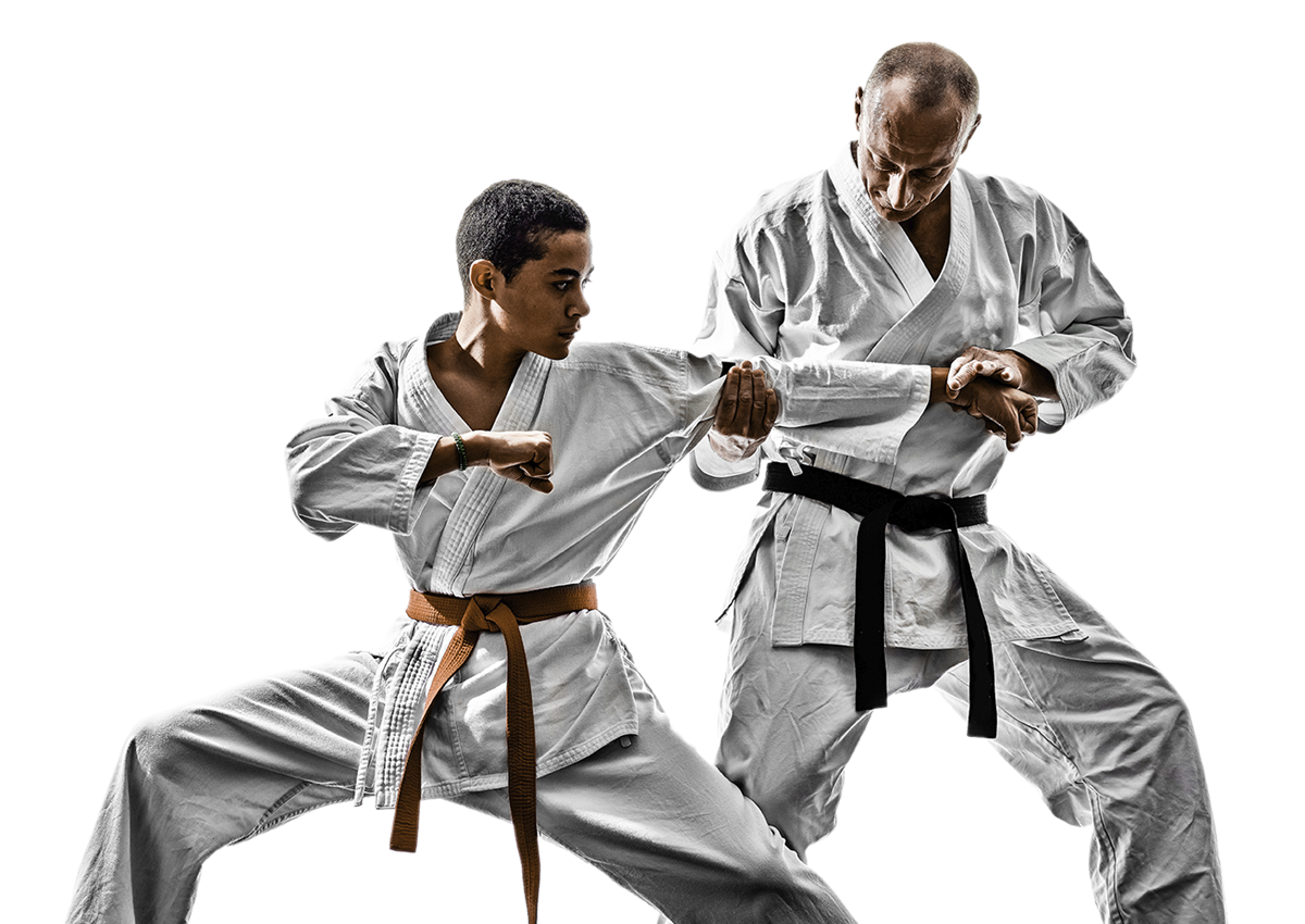 Karate Male Fighter Free Clipart HQ PNG Image