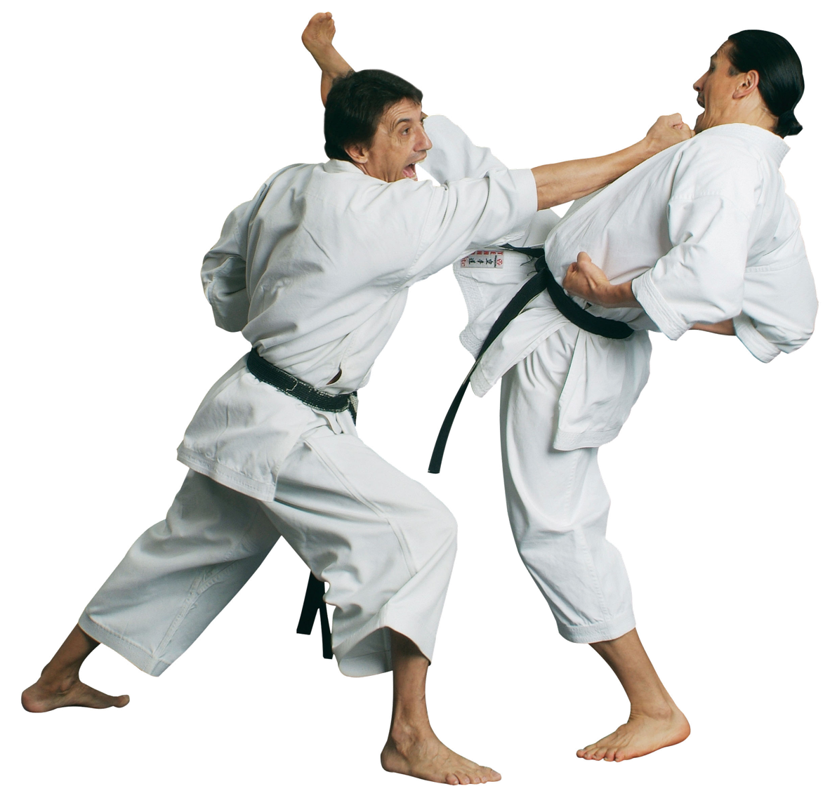 Karate Martial Male Fighter Free Photo PNG Image