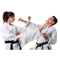 Karate Free Download