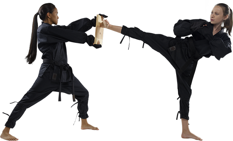 Karate PNG Image