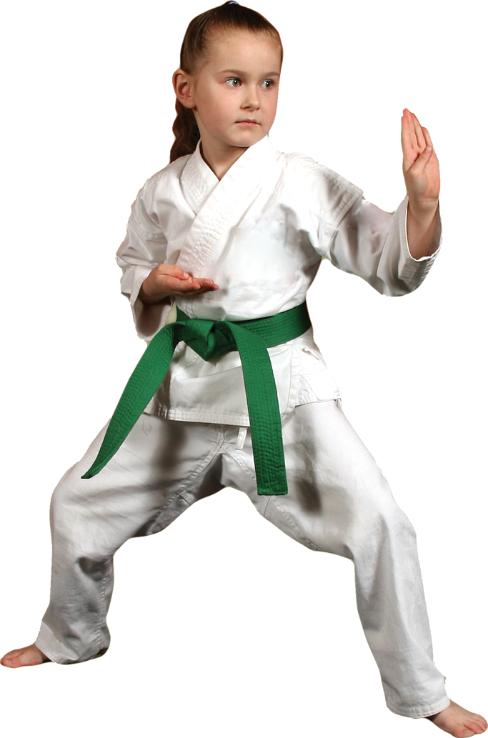 Karate Picture PNG Image