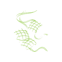 Dish Pic Ketupat Free HD Image