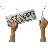 Hands On Keyboard Png Image PNG Image