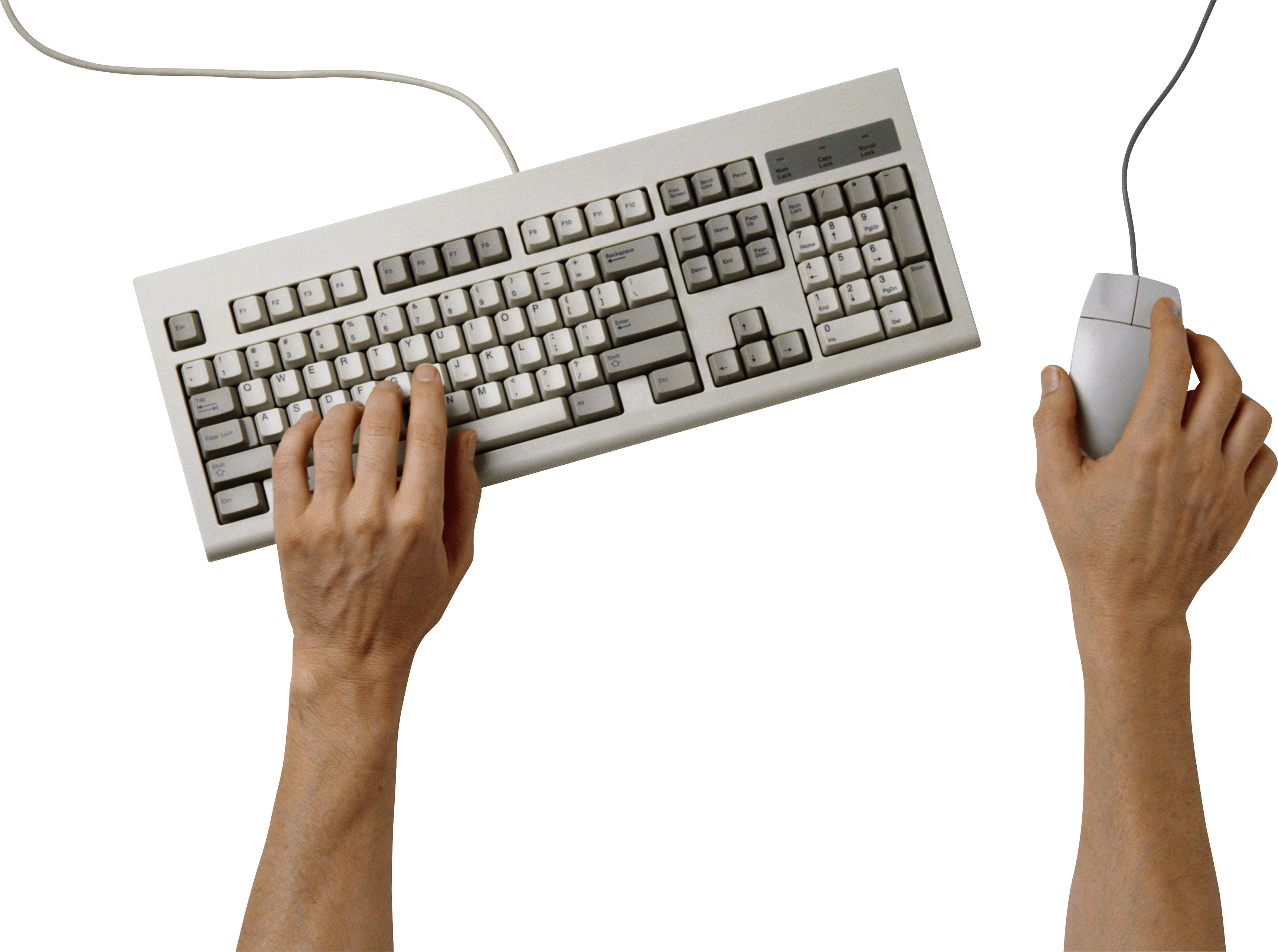 Hands On Keyboard Png Image PNG Image