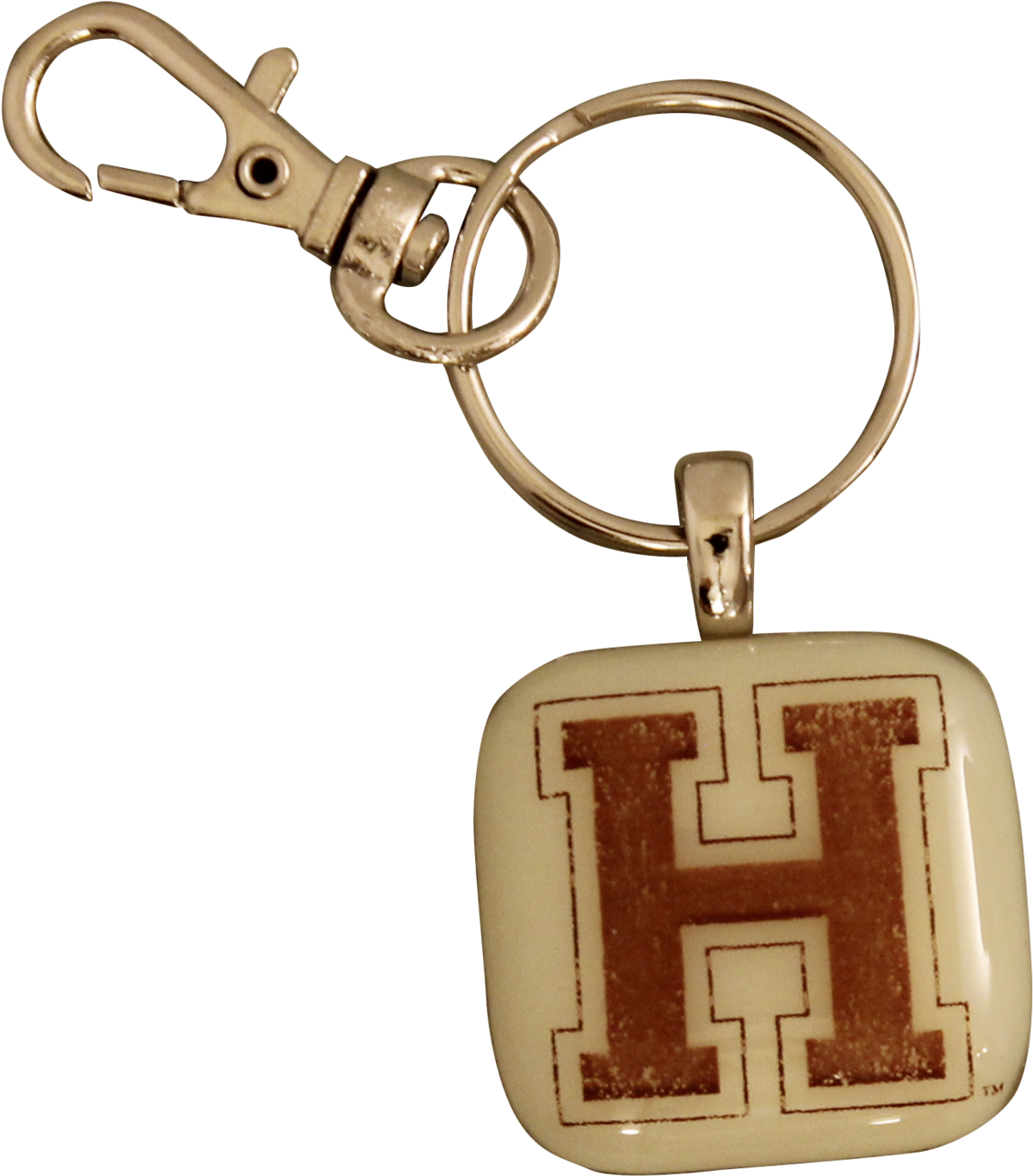 Keychain Transparent PNG Image