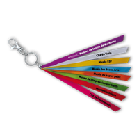 Keychain Transparent PNG Image
