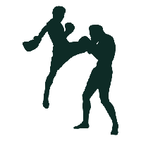 Kickboxing Transparent PNG Image