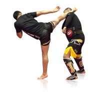 Kickboxing Transparent PNG Image