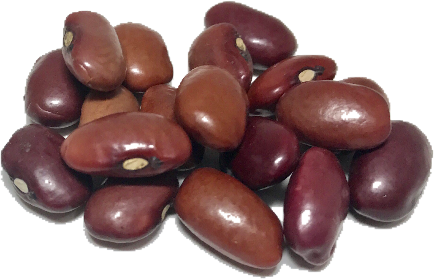 Beans Kidney Free Download Image PNG Image