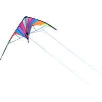 Kite Transparent PNG Image