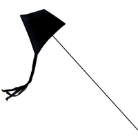 Kite PNG