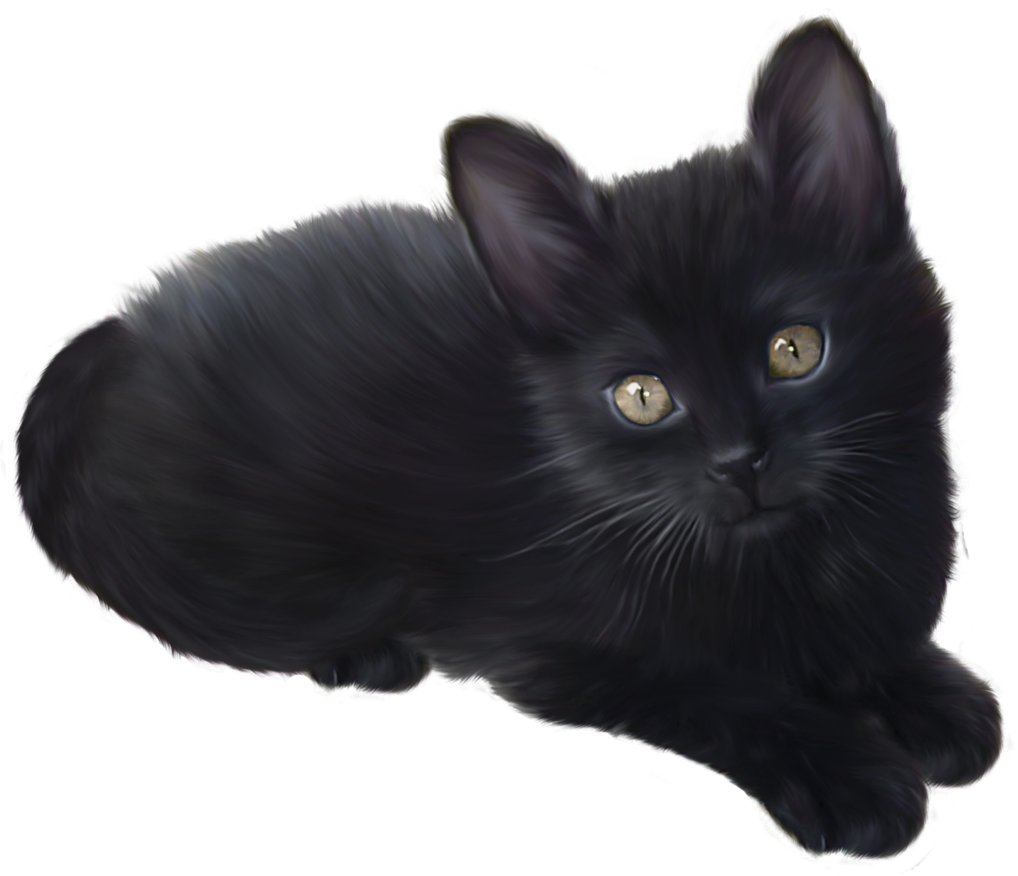 Download Kitten Png Hq Png Image Freepngimg