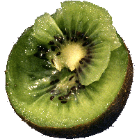 Kiwi Png Image Fruit Kiwi Png Pictures Download PNG