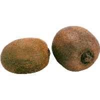 Two Kiwis Png Image Picture PNG