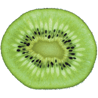 Green Cutted Kiwi Png Image Transparent PNG Image