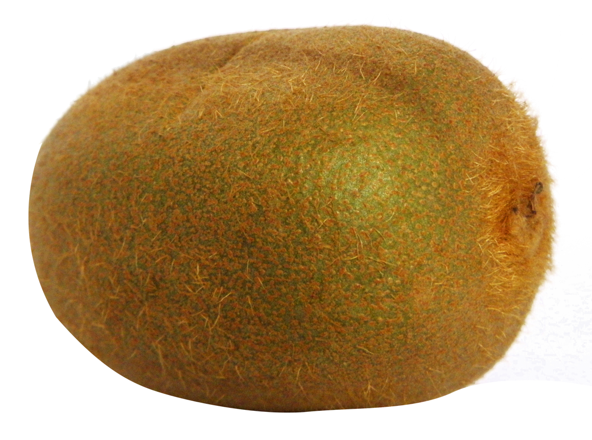 Kiwi Fruit File PNG Image