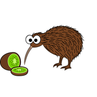 Kiwi Bird PNG Free Photo