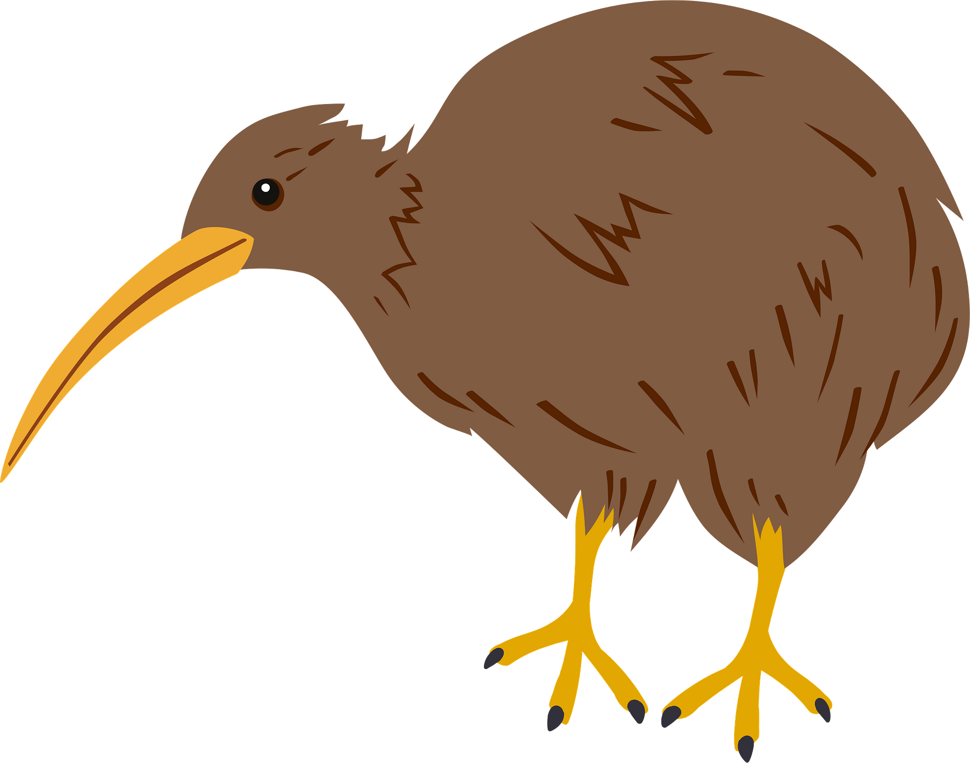 bird free clip art