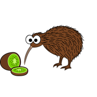 Download Kiwi Bird Free PNG photo images and clipart | FreePNGImg