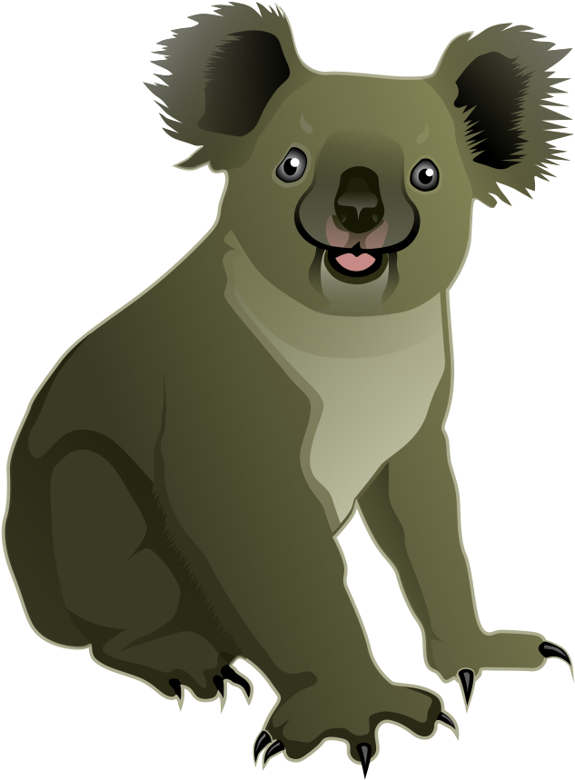 Koala Vecrtor PNG Image High Quality PNG Image