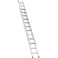 Ladder PNG