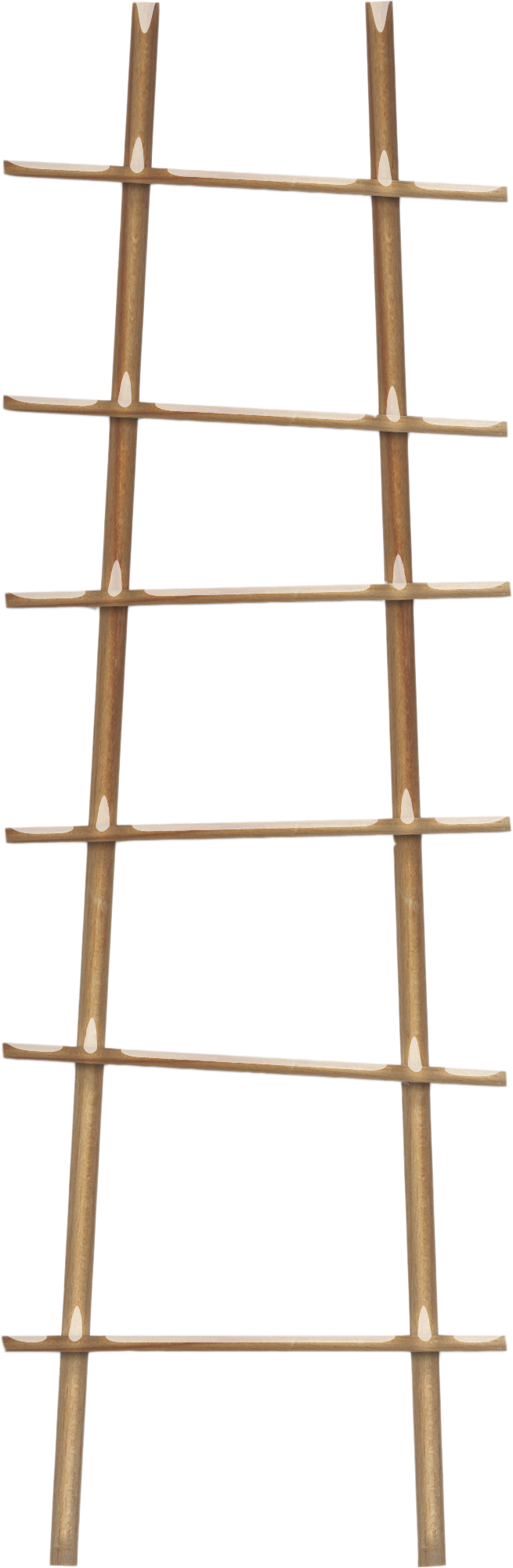 Ladder Transparent PNG Image