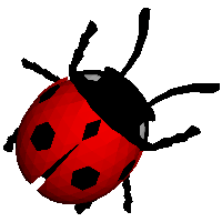 ladybug PNG image transparent image download, size: 556x549px