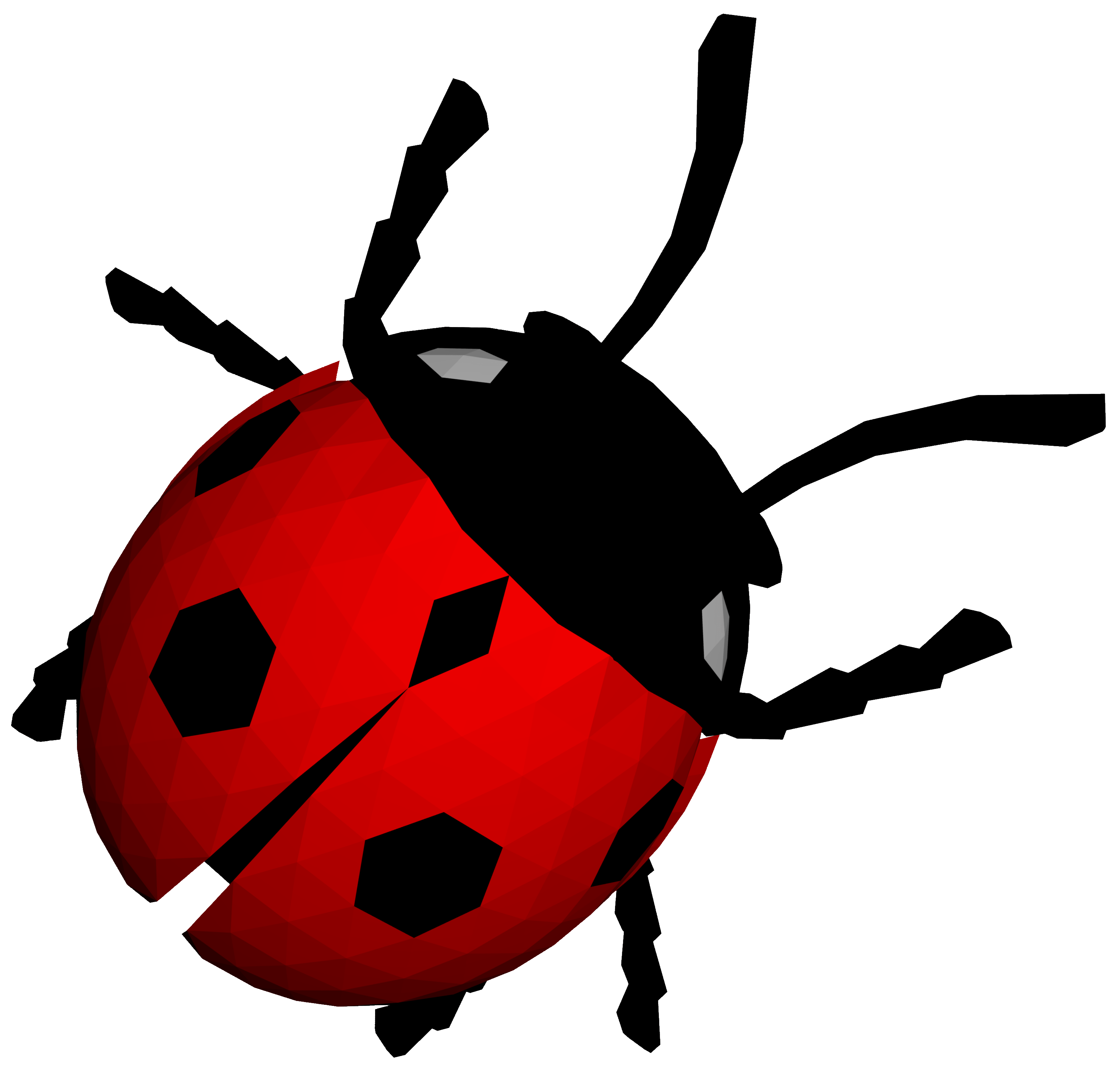 Ladybug Png Image PNG Image