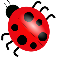 Ladybug Insect Free HD Image Transparent PNG Image