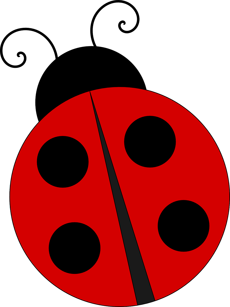 Ladybug PNG Image  Ladybug, Insects, Bugs