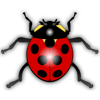 Cartoon Ladybug Clip Art PNG