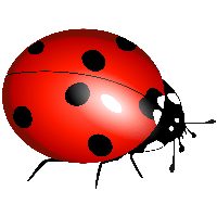 LadyBug Clipart Lady Bug PNG Photo Composite Summer -  Portugal