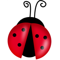 Ladybug png images