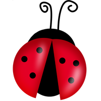 ladybug PNG image transparent image download, size: 256x256px