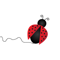 Ladybug Insect Color 12638098 PNG