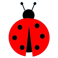 ladybug PNG image transparent image download, size: 556x549px