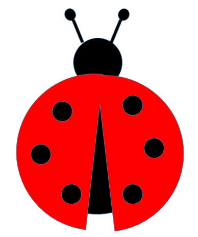 Download Ladybug HQ PNG Image