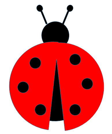 real ladybugs png