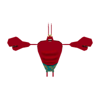 The Larry Lobster Free HQ Image PNG Image