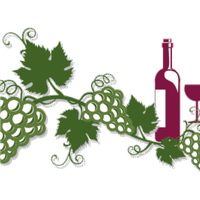 Grape Vine Leaf Art Photos PNG