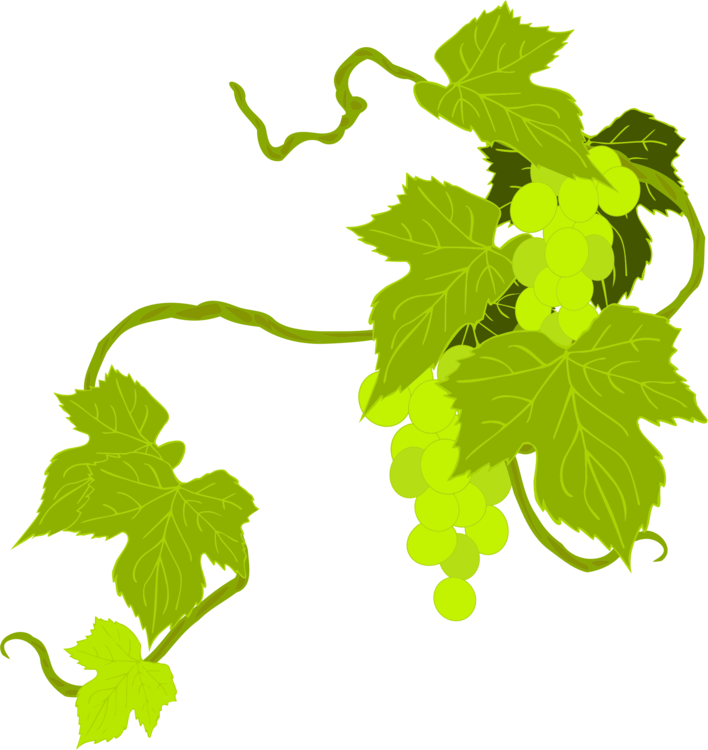 Grape Vine Leaf Art PNG File HD PNG Image