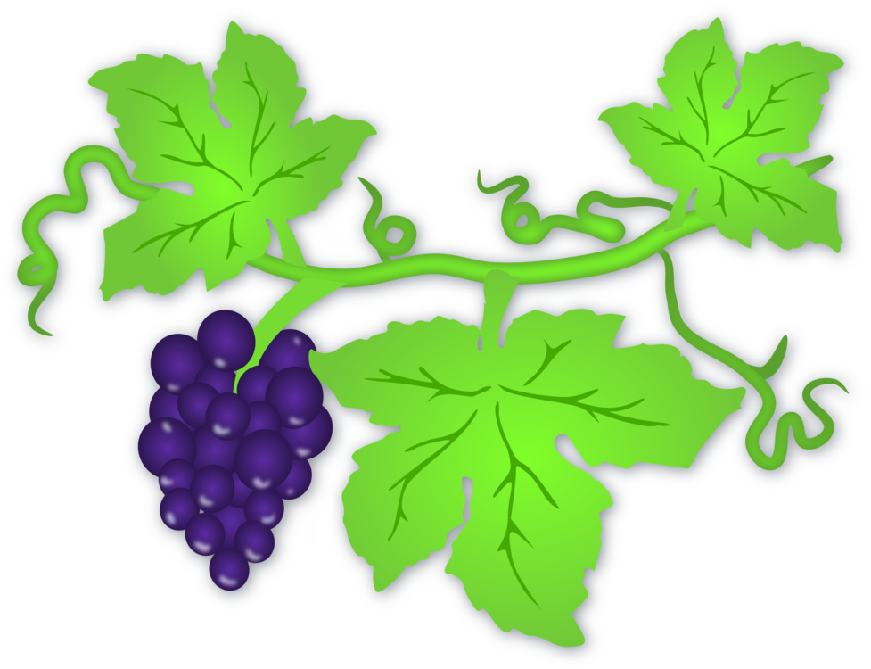 Grape Vine Leaf Art HQ Image Free PNG Image