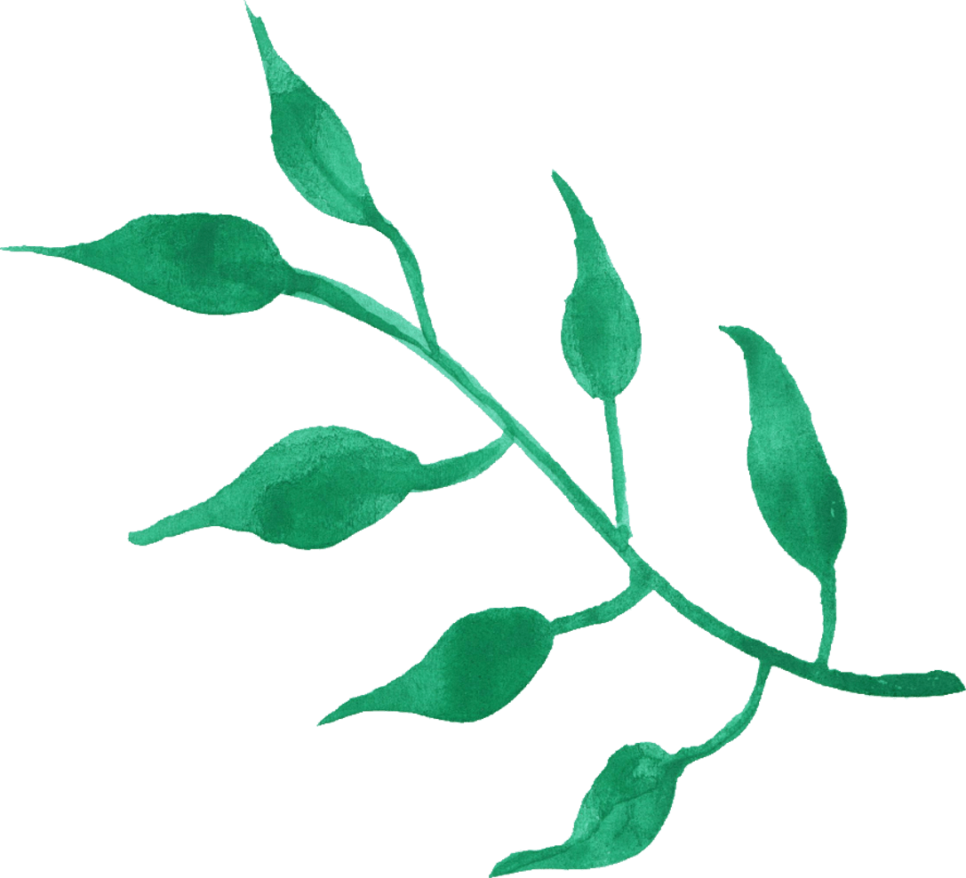 Fresh Green Leafs PNG Free Photo PNG Image