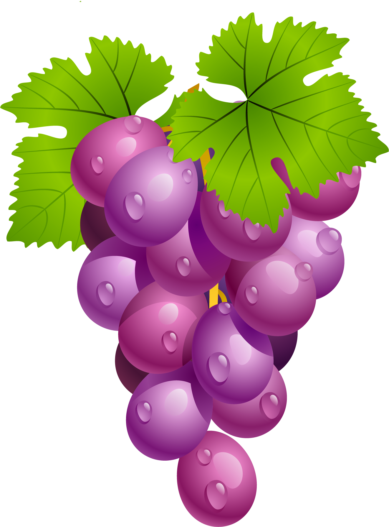 Vine Leaf Grape Free Clipart HD PNG Image
