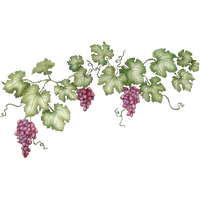 Vine Leaf Grape Free Transparent Image HD Transparent HQ PNG Download ...